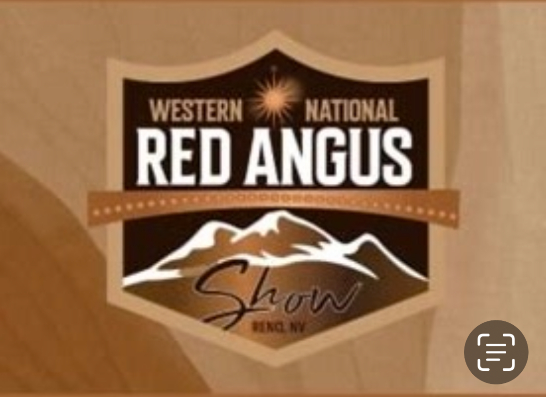 Red Angus Western National logo with event equipment by Desert Southwest Event Rentals